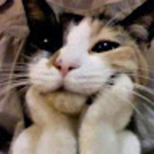 Meet your Posher, Kipper